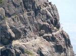 100505-mitsutouge-iwa.jpg