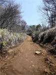 100505-mitsutouge-michi.jpg