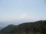 100505_mitsutouge1.jpg
